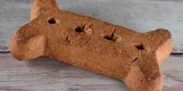 Unleash Your Dog’s Potential: Top Training Schools Near You