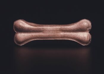 Paws-itively Delicious: Can Dogs Eat Pineapple?