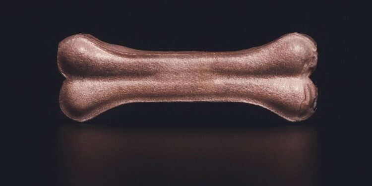 Paws-itively Delicious: Can Dogs Eat Pineapple?