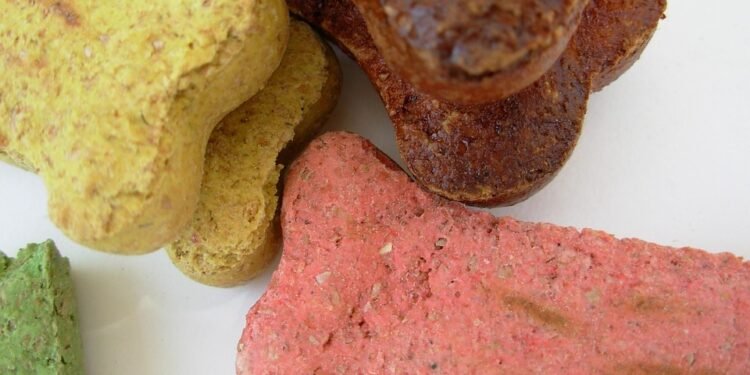 Dining Do’s and Don’ts for Dogs: A Guide to Safe and Healthy Eating