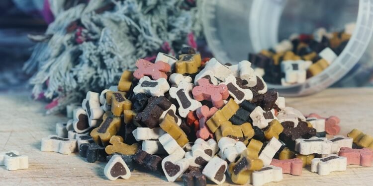 Ultimate Guide to Finding the Best Dog Food for Sensitive Stomachs and Skin Allergies