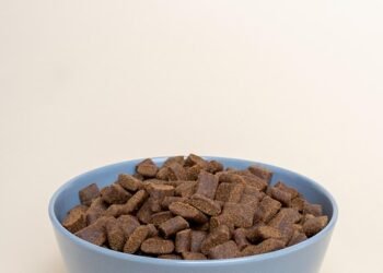 The Ultimate Guide to Choosing the Best Dog Food for Your Growing Pup