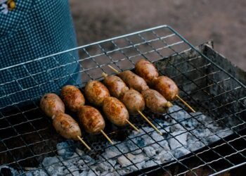 Nutrition for Senior Pups: Unleashing the Best Food for Older Dogs