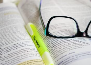 Pawsitive Progress: Finding Top Therapy Dog Training Near Me