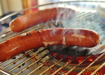 Small But Mighty: The Ultimate Guide to the Best Dog Food for Small Breed Puppies