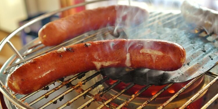 Small But Mighty: The Ultimate Guide to the Best Dog Food for Small Breed Puppies