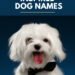 500 Holiday Inspired Dog Names