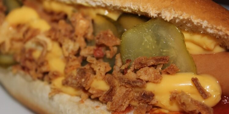 From Table Scraps to Treats: What Human Foods Can Dogs Safely Eat?