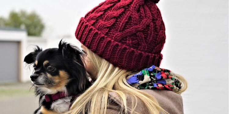 Pamper Your Pint-Sized Pooch: Chic and Cozy Dog Sweaters for Small Breeds