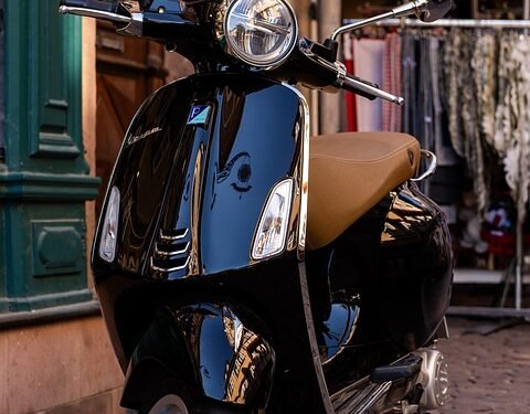 Pawsitively Stylish: The Ultimate Guide to Dog T-Shirts for Fashionable Pups