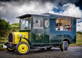 Feeding Fido: A Guide to Everyday Canine Nutrition