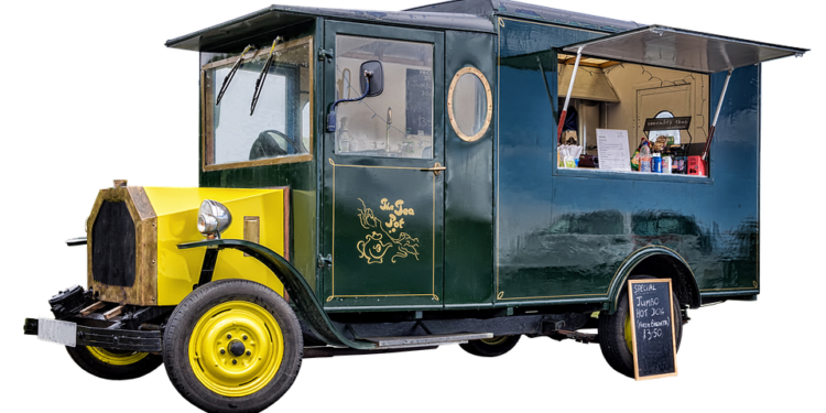 Soft and Savory: The Ultimate Guide to Nourishing Your Toothless Senior Pup