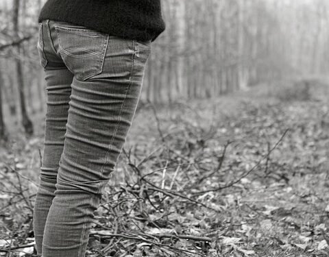 Cozy Canine Couture: The Ultimate Guide to Dog Sweaters