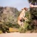 Unleash Your Dog’s Potential: The Power of Private Training