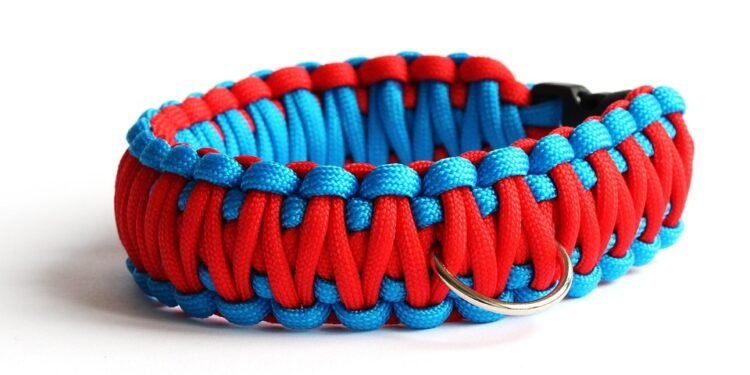 The Ultimate Tactical Dog Collar: Personalized Protection for Your Pup