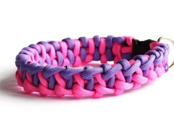 Pawsitively Perfect: The Ultimate Guide to Personalized Dog Collars