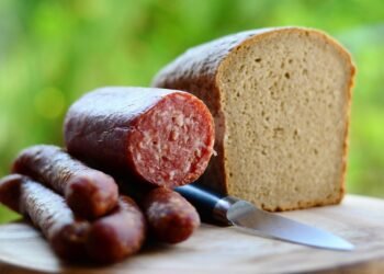 Feeding Fido: The Dos and Don’ts of Sharing Human Food with Your Dog