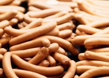 Gentle Nutrition: The Top Dog Food for Sensitive Stomachs and Diarrhea