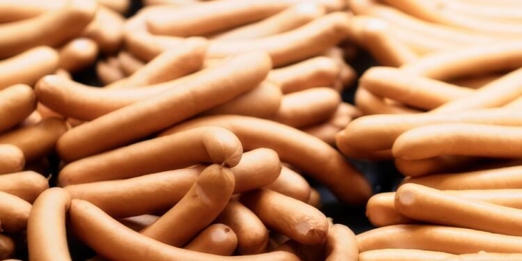 Gentle Nutrition: The Top Dog Food for Sensitive Stomachs and Diarrhea