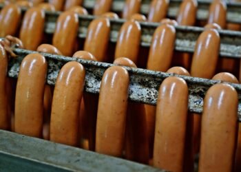 Fueling Fido: A Guide to Everyday Dog Nutrition