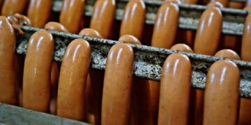 Fueling Fido: A Guide to Everyday Dog Nutrition