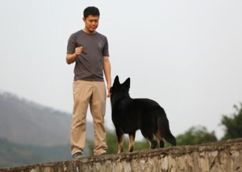 Top Dog Academy: Unleashing Your Pup’s Potential at a School Near You