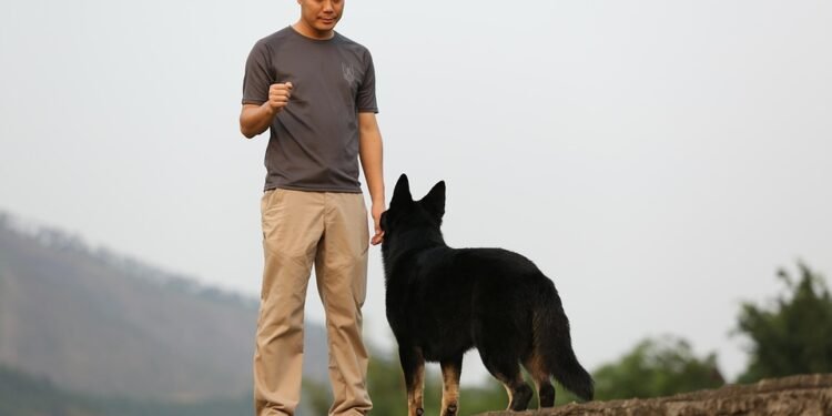 Top Dog Academy: Unleashing Your Pup’s Potential at a School Near You