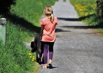 Cozy Canines: The Ultimate Guide to Stylish Dog Sweaters