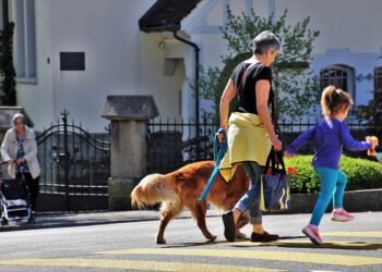 Stomp, Play, and Stay: The Ultimate Guide to Dog Boots That Won’t Budge