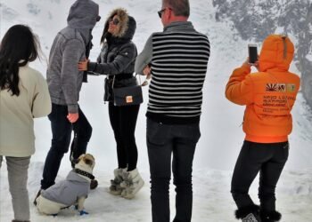 Pawfect Peds: Stylish Socks for Your Furry Friend