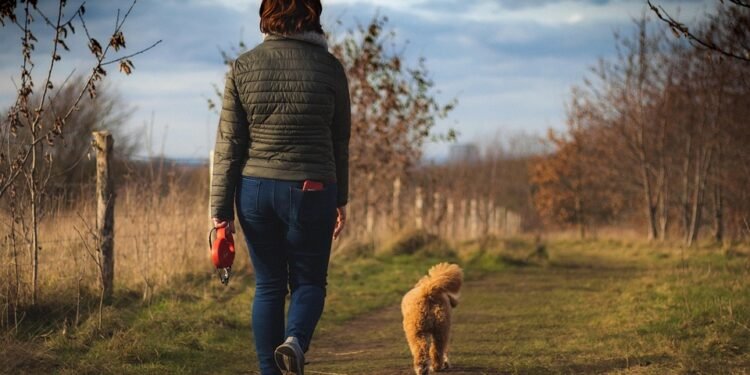 Affordable Paws-itive Training: The Key to a Well-Behaved Pup on a Budget