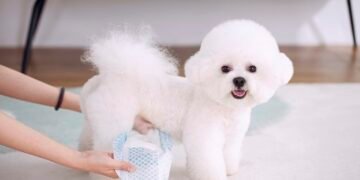 Male Dog Wraps for Urine