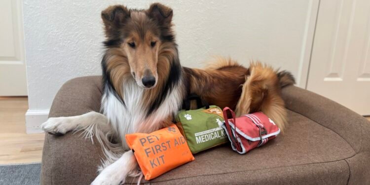 Best Dog First Aid Kits