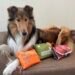 Best Dog First Aid Kits
