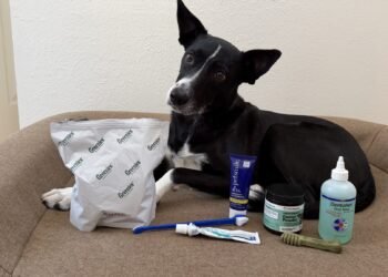 The Best Dog Teeth Cleaning Products