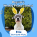 Dogster’s Weekly Photo Contest Winners: Best Easter Photo (April 9, 2026)
