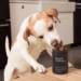 Fresh Dog Food vs. Processed: What’s the Best Choice (and Is There a Secret Third Option)?