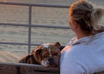 From Grief to Gratitude: How One “Potato” and a Road Trip Changed Everything