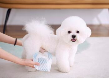 Male Dog Wraps for Urine