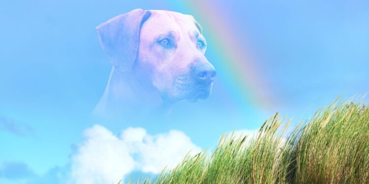 When Seizures Win in Dogs
