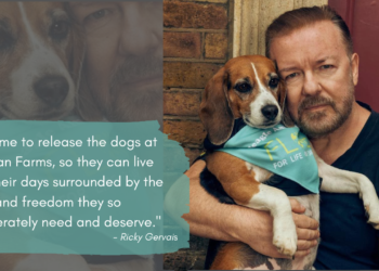 Ricky Gervais Says: It’s Time to Release The Dogs