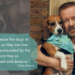 Ricky Gervais Says: It’s Time to Release The Dogs
