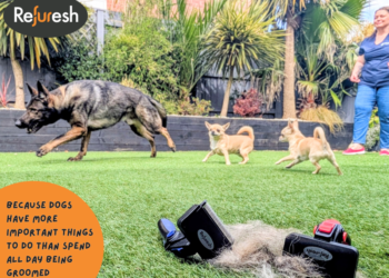Refuresh Deshedding Tool – Professional Grooming at Home