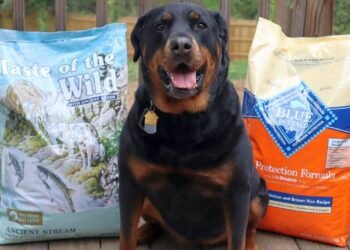 Taste of the Wild vs Blue Buffalo: A Head-to-Head Comparison