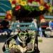 We Didn’t Just Add a Dog to Our Life – We Built a Life With Him