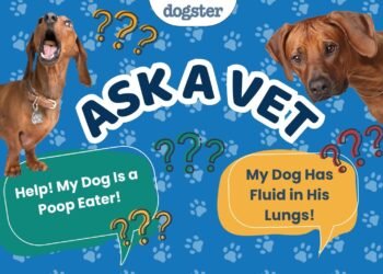 Ask Dr. Paola- Help! My Dog Eats Her Poop! (April 20, 2026)