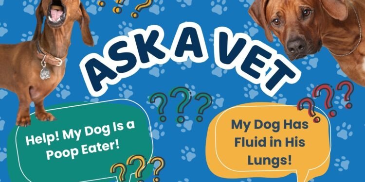 Ask Dr. Paola- Help! My Dog Eats Her Poop! (April 20, 2026)