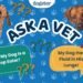 Ask Dr. Paola- Help! My Dog Eats Her Poop! (April 20, 2026)