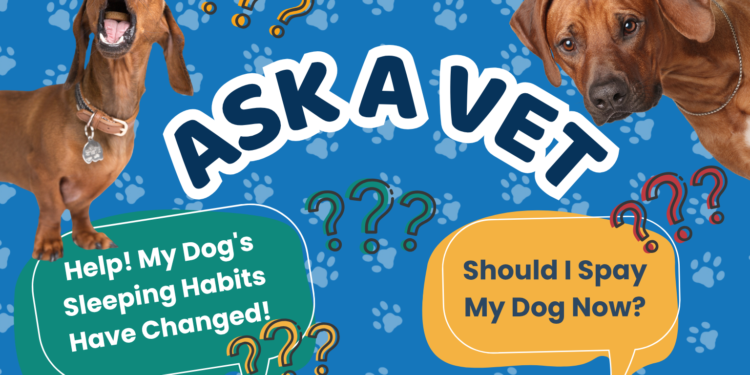 Ask Dr. Paola- Help! My Dog’s Sleeping Habits Have Changed! (May 18, 2026)