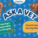 Ask Dr. Paola- Help! My Dog’s Sleeping Habits Have Changed! (May 18, 2026)